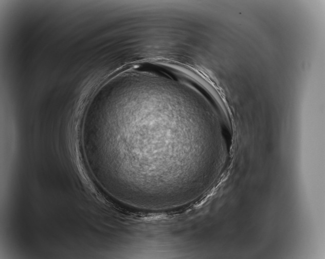 X0000088830097200706141528