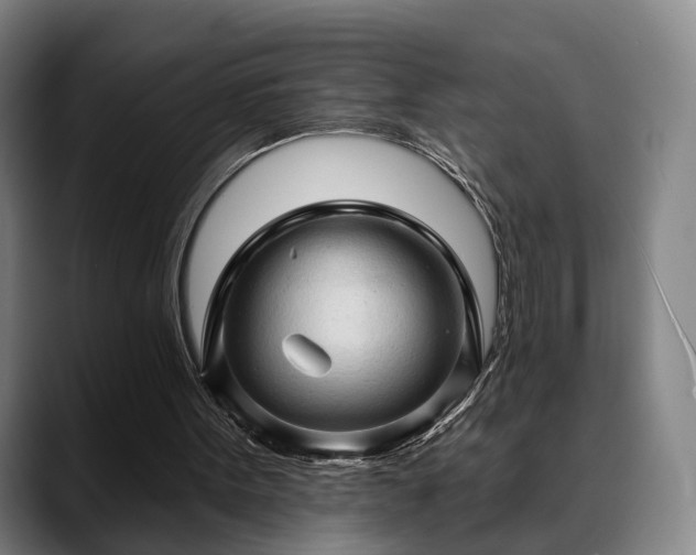 X0000088830099200706141528