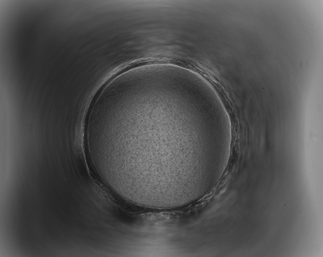 X0000088830100200706141528