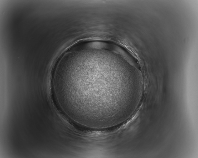 X0000088830101200706141528