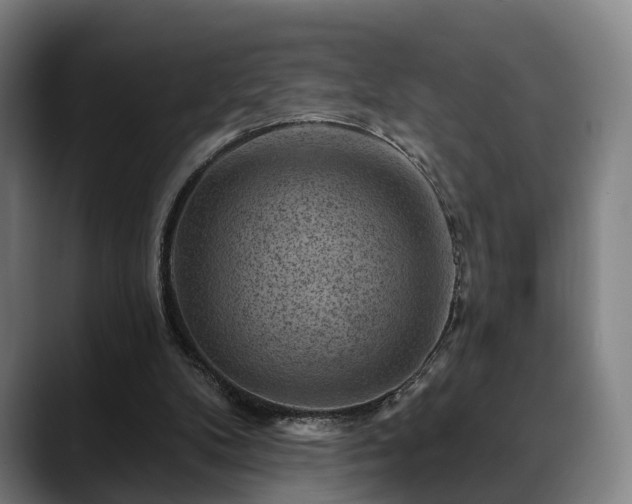 X0000088830104200706141528