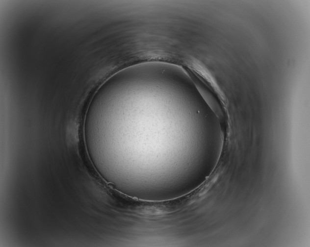 X0000088830106200706141528