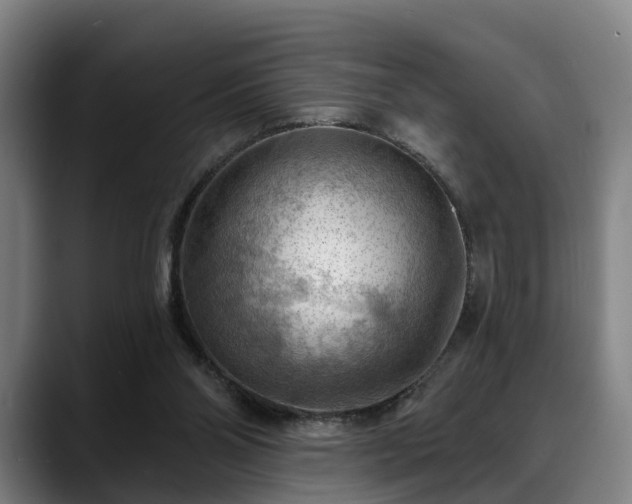 X0000088830110200706141528