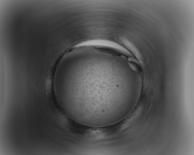 X0000088830113200706141528