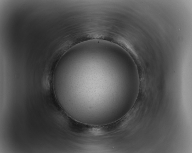 X0000088830114200706141527