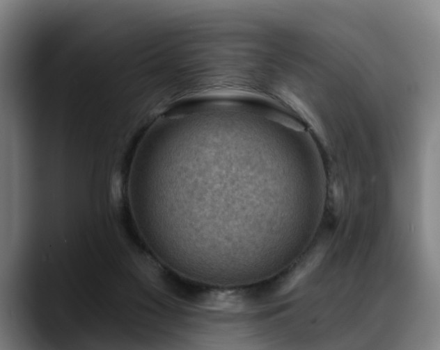 X0000088830117200706141527