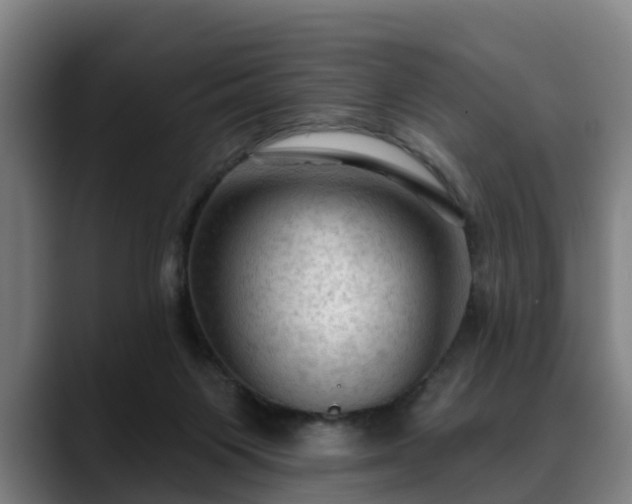 X0000088830119200706141527