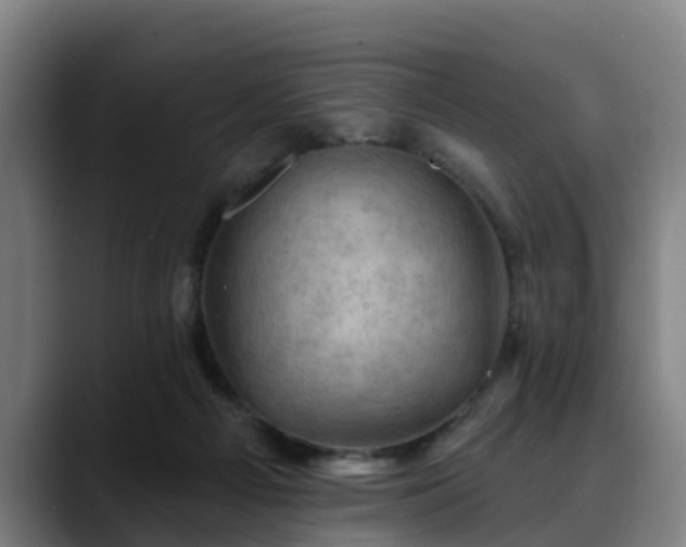 X0000088830121200706141527