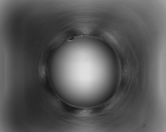 X0000088830122200706141527