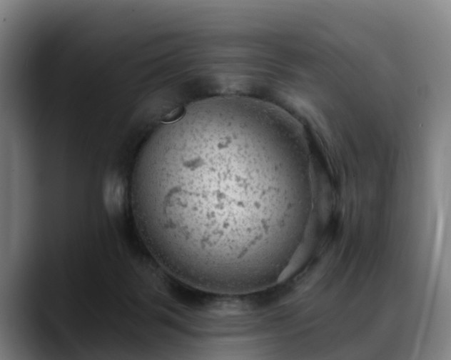 X0000088830123200706141527