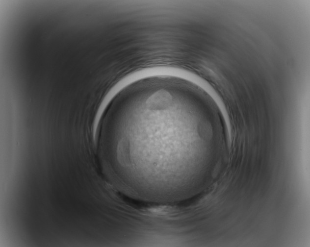 X0000088830125200706141527