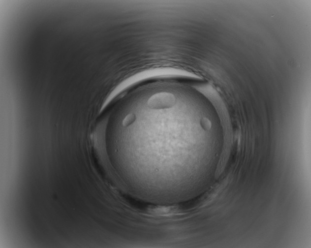 X0000088830129200706141527