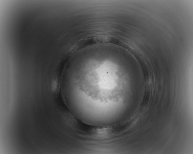 X0000088830134200706141527