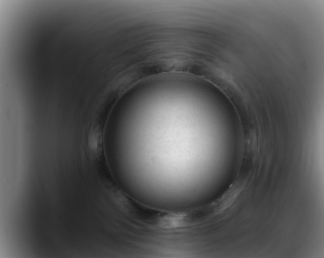 X0000088830138200706141527