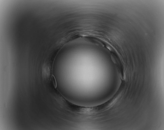 X0000088830139200706141527