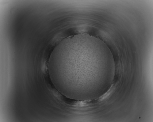 X0000088830140200706141527