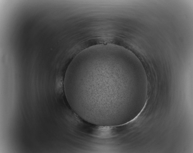 X0000088830144200706141527