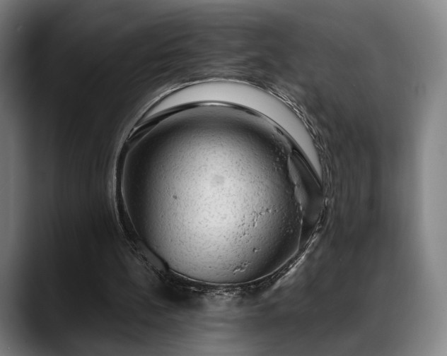 X0000088830148200706141527