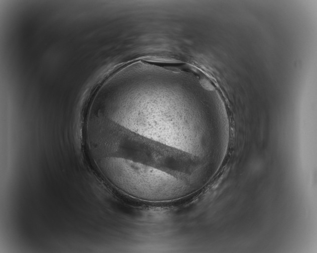 X0000088830149200706141527