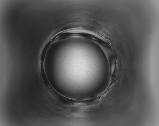 X0000088830150200706141527