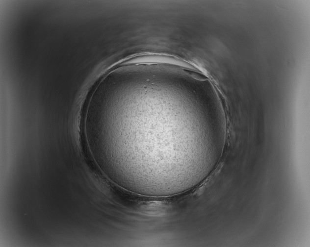 X0000088830151200706141527