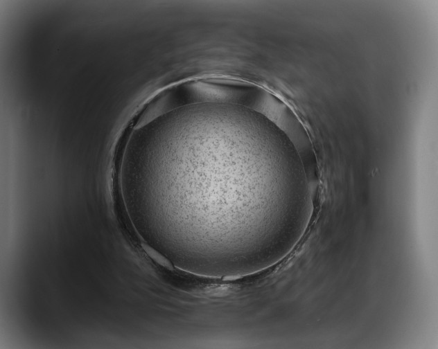 X0000088830152200706141527