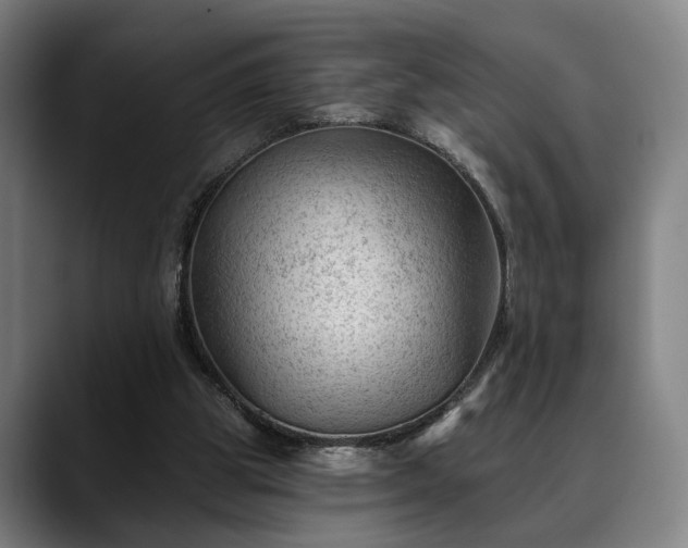 X0000088830153200706141527