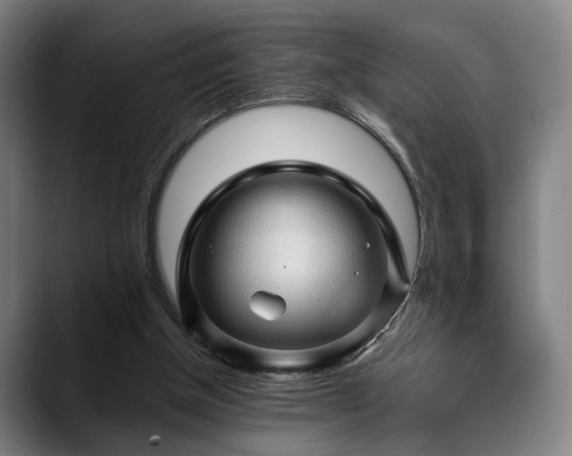 X0000088830154200706141527