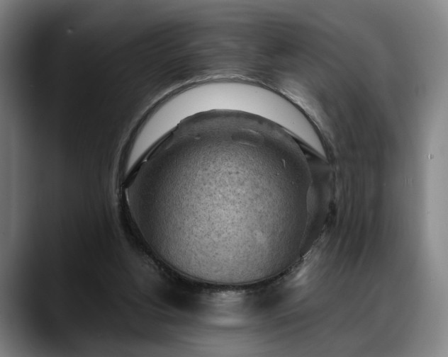 X0000088830156200706141527