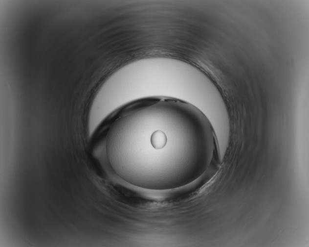 X0000088830158200706141527