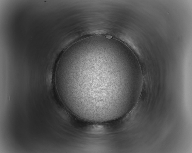 X0000088830159200706141527