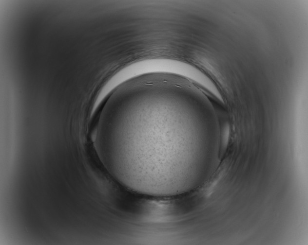 X0000088830164200706141527