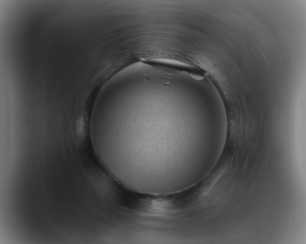 X0000088830165200706141527