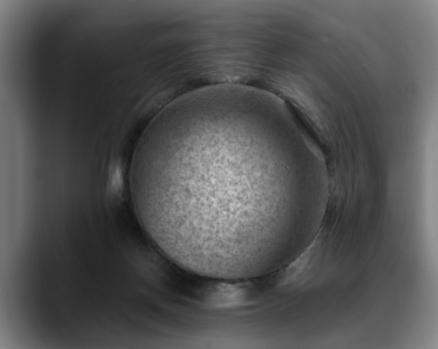 X0000088830166200706141527