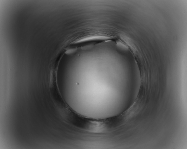 X0000088830167200706141527