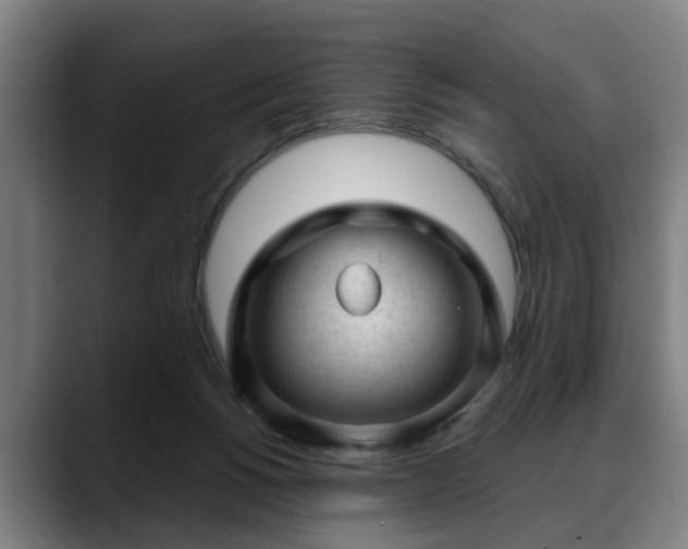 X0000088830168200706141527