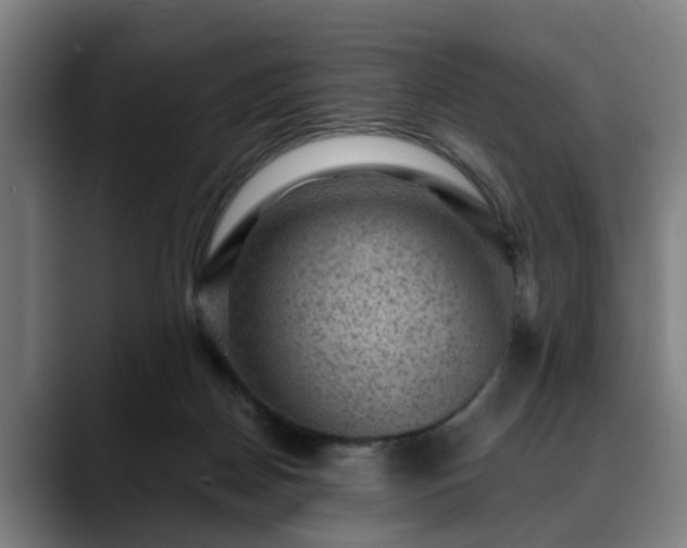 X0000088830170200706141527