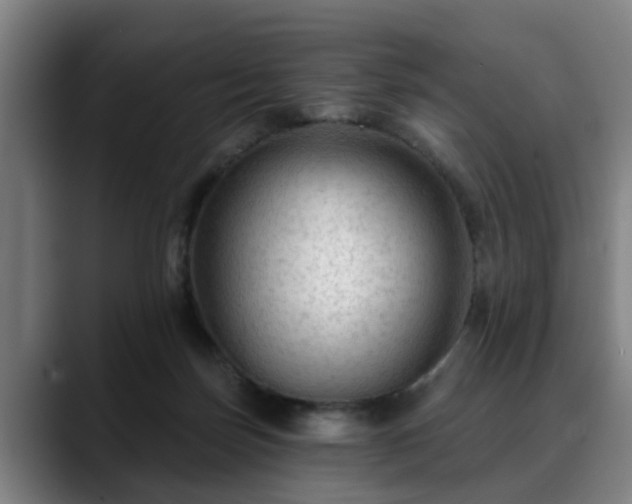 X0000088830171200706141527