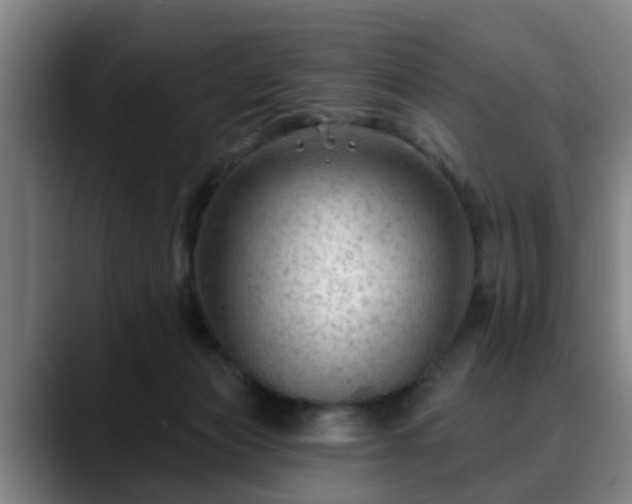 X0000088830173200706141527