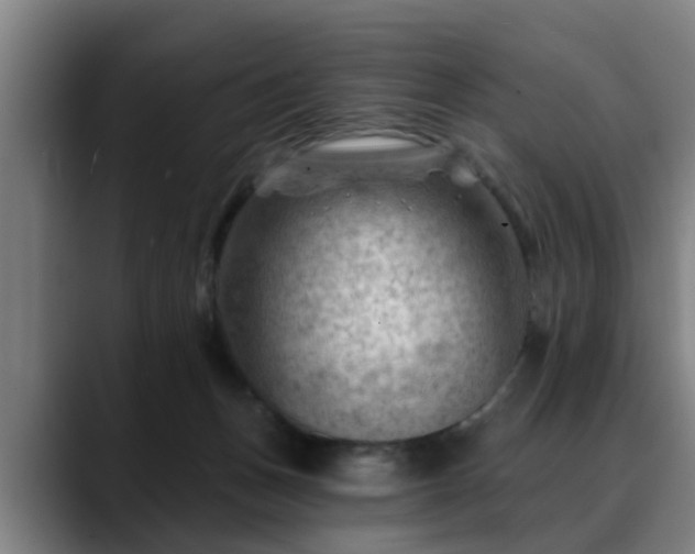 X0000088830175200706141527