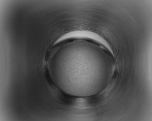 X0000088830176200706141527