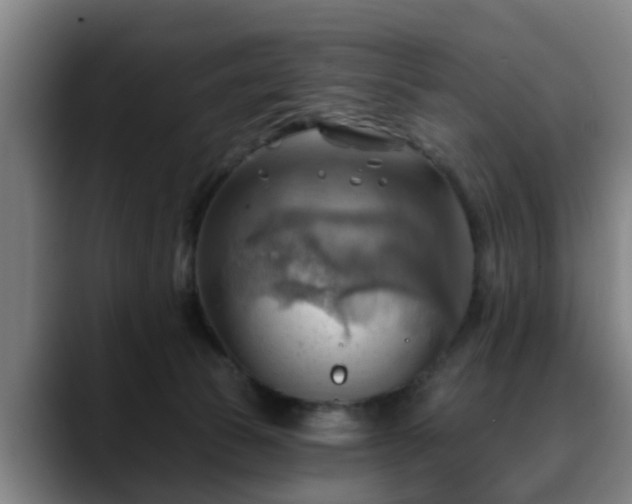 X0000088830177200706141527