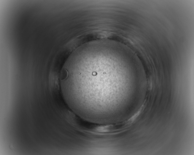 X0000088830178200706141527