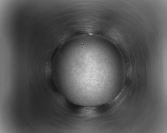 X0000088830179200706141527