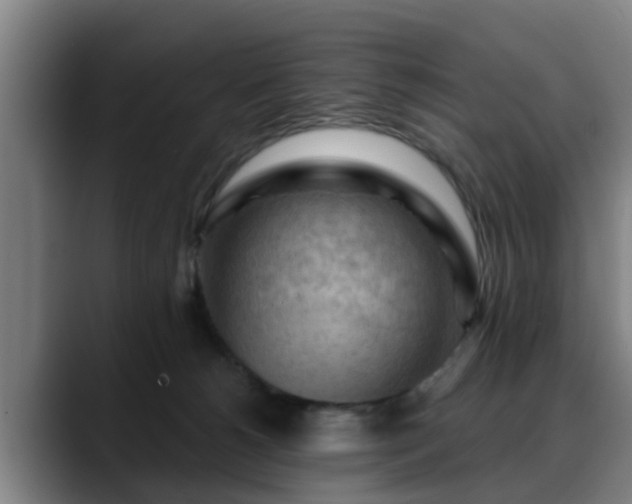 X0000088830180200706141527