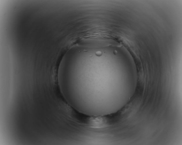 X0000088830181200706141527