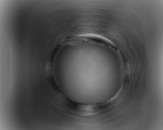 X0000088830182200706141527