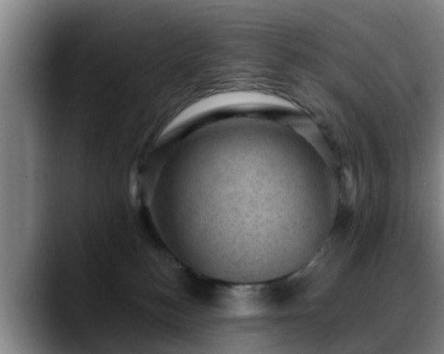 X0000088830184200706141527