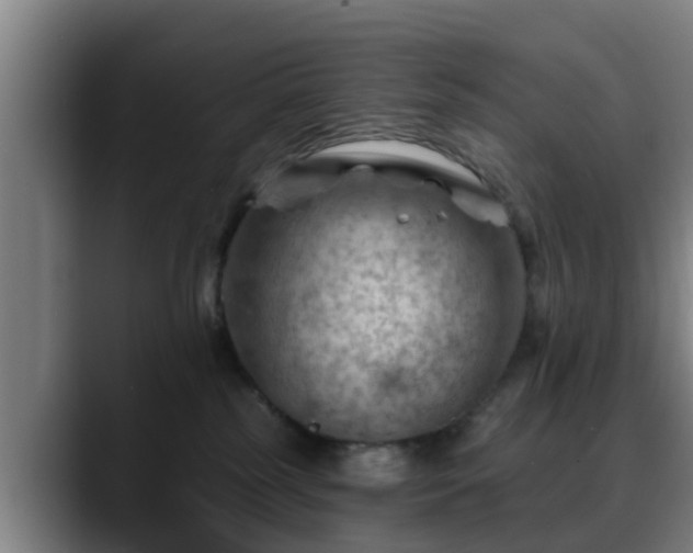 X0000088830185200706141527