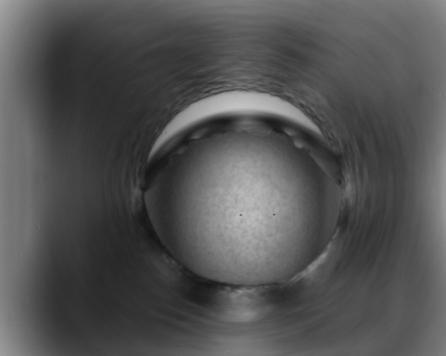 X0000088830186200706141527